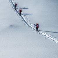 Skiing Skiing