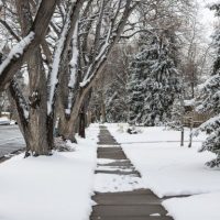 SnowSidewalk