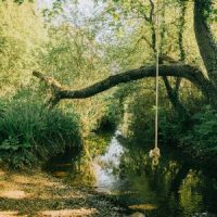 RopeSwingLake RopeSwingLake